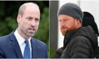 Prince William feelings towards King Charles’ meeting with Prince Harry comes out