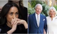 Why were King Charles, Camilla the only royal meeting with Archie, Lilibet? Insider