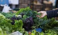 More than 3,000 sick in Michigan and Ohio as Cyclospora outbreak sparks lettuce warning