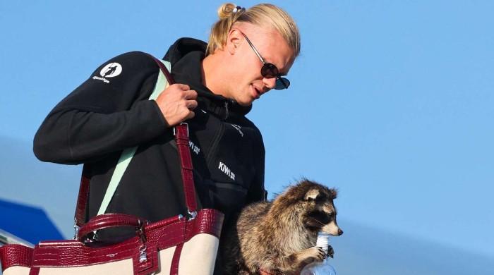 Erling Haaland goes viral after returning to Norway with taxidermy raccoon