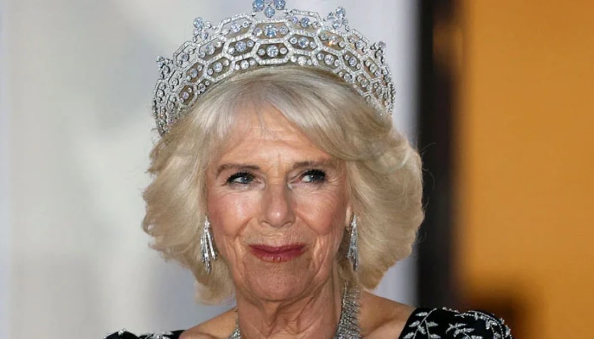 Queen Camilla helped King Charles keep Prince Harry meeting ‘watertight’