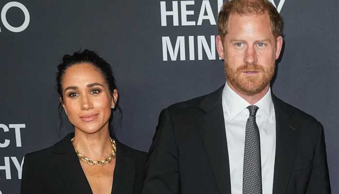 Prince Harry, Meghan Markle receive stern warning after UK trip