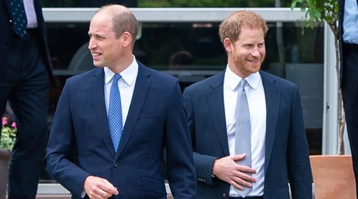 Prince William did not meet Prince Harry during latter’s UK visit: ‘so broken’