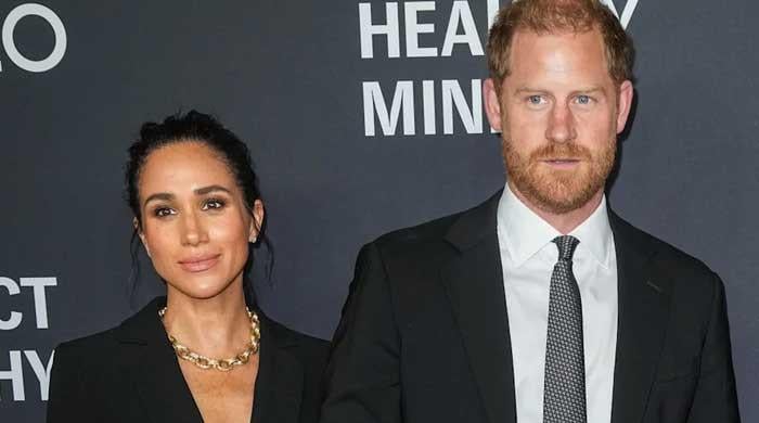 Prince Harry, Meghan Markle receive stern warning after UK trip