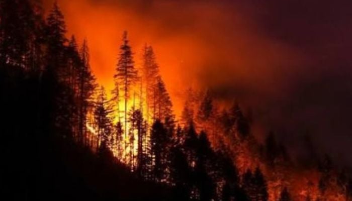 Hundreds of Canadian wildfires trigger US air quality alerts as toxic haze spreads
