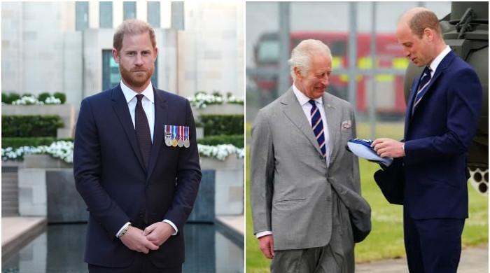 Prince William gives Harry a huge kick in the teeth: ‘Got no choice except to go back to the drawing board’