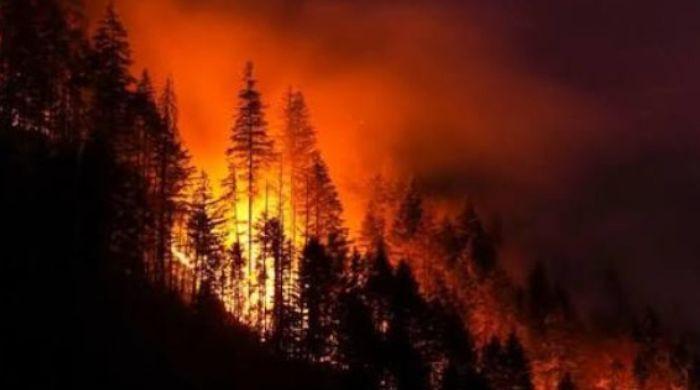 Hundreds of Canadian wildfires trigger US air quality alerts as toxic haze spreads 