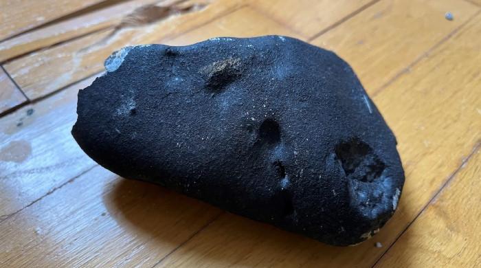 Rare New Jersey meteorite reveals 'alien world chemistry', study finds