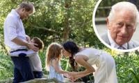 Royal family 'greatest challenge' exposed as King Charles reunited with Archie, Lilibet