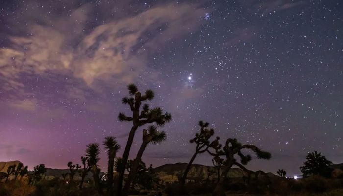 Perseid meteor shower 2026: Here is everything to know about peak dates and best viewing times
