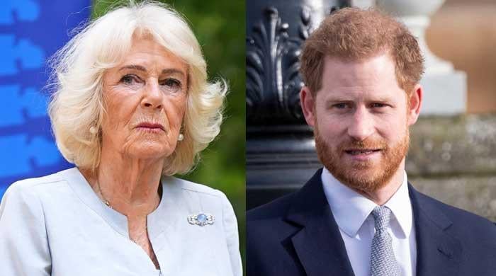 Queen Camilla's true feelings about Prince Harry revealed after private UK reunion