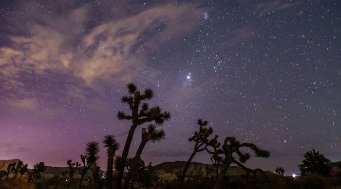 Perseid meteor shower 2026: Here is everything to know about peak dates and best viewing times 
