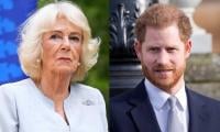Queen Camilla's True Feelings About Prince Harry Revealed After Private UK Reunion