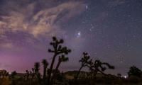 Perseid meteor shower 2026: Here is everything to know about peak dates and best viewing times 