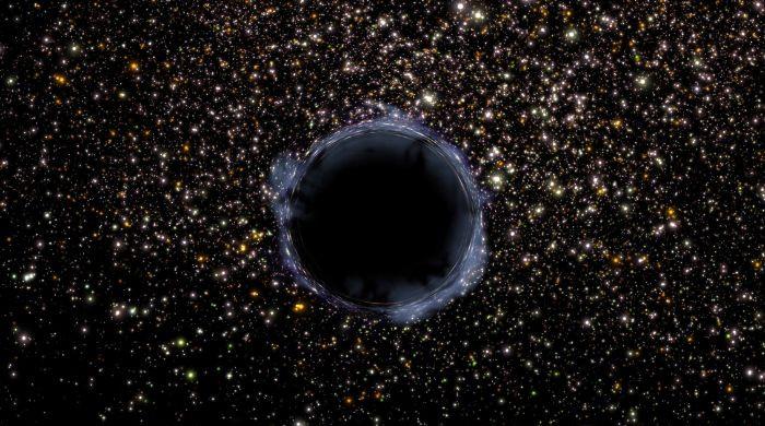 James Webb Space Telescope reveals how black holes feed themselves