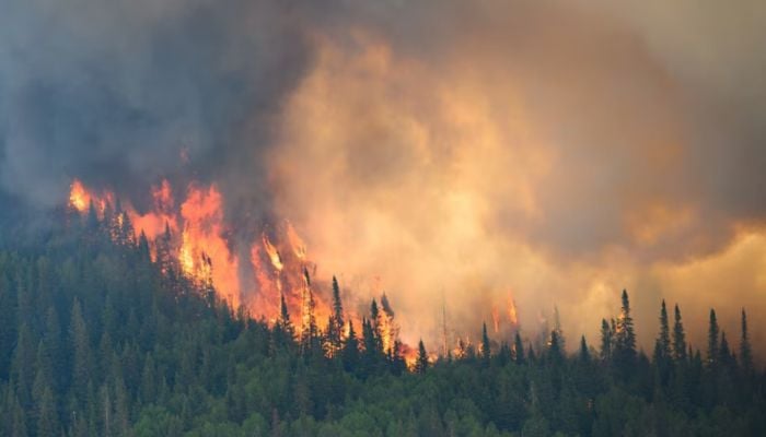 Canada wildfires intensify as smoke blankets parts of the US