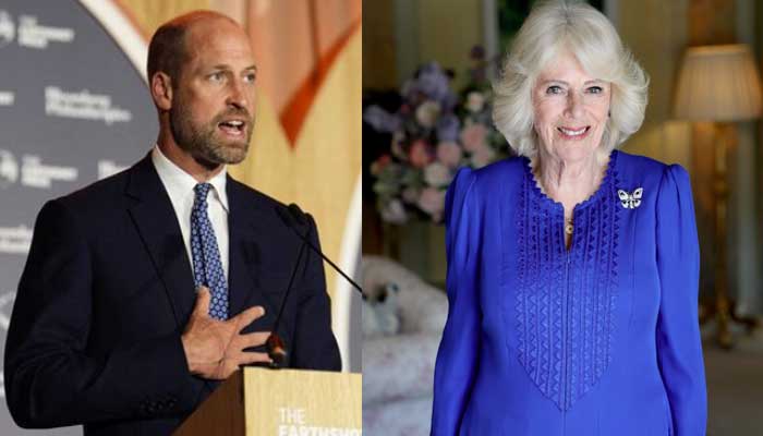 Queen Camilla steps up as Prince William makes strides in cause close to royals