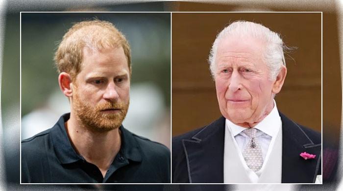 Prince Harry gets outrage from King Charles: ‘What exactly do you miss family, status, or influence’