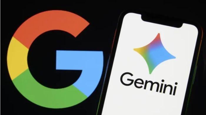 Google developing 'Frozen v2' chip to hardcode Gemini architecture with 10x efficiency