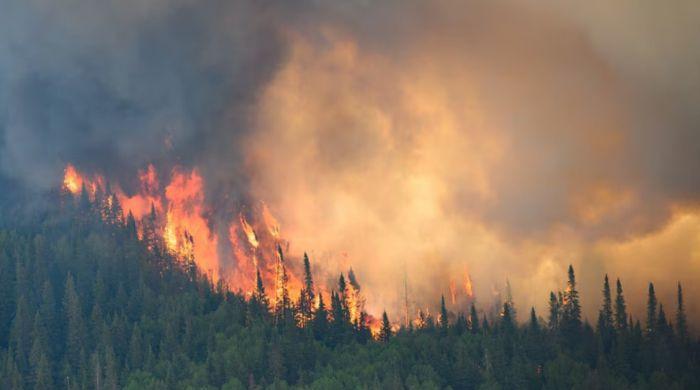 Canada wildfires intensify as smoke blankets parts of the US