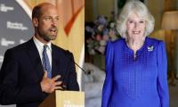 Queen Camilla steps up as Prince William makes strides in cause close to royals