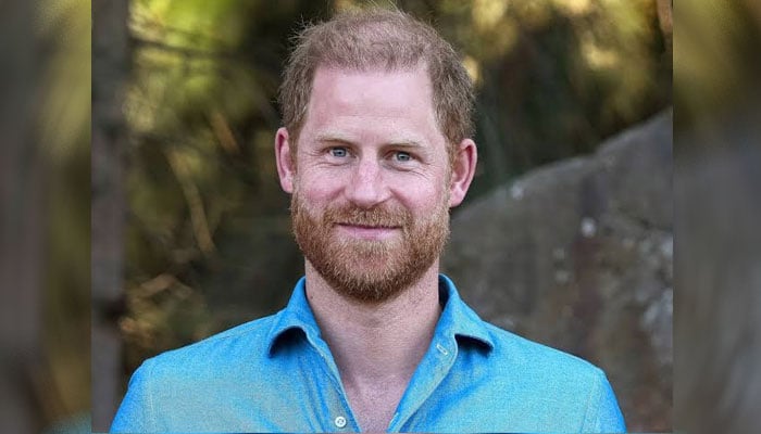 Prince Harry’s royal dream ignites: ‘I can still serve the King this way!’
