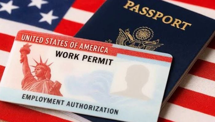 U.S. Court halts Trump Administration move to revoke immigrant work permits