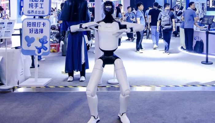 Beyond viral videos: Are Chinese robots actually useful?