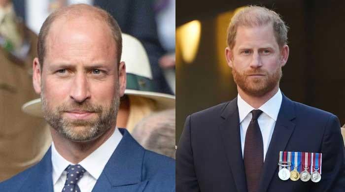 Prince William shuts door on Harry over 'selfish' royal reunion bid