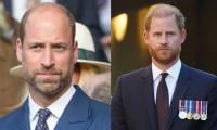 Prince William shuts door on Harry over 'selfish' royal reunion bid
