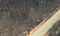 Spain, France Battle Raging Wildfires Amid Extreme Heat