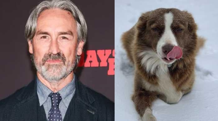 Mike Wolfe left devastated by dog’s death in accident