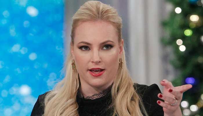 Meghan McCain gives scathing response to trolls calling her old and ugly