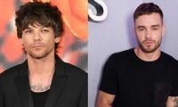 Louis Tomlinson misses 'brother' Liam Payne as he celebrates One Direction's 16th anniversary