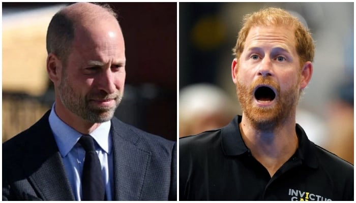 Expert exposes critical flaw in Firm that Harry didn’t cause: ‘The heir’s tacit criticism always follows’