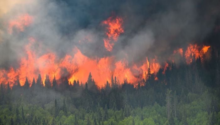 Massive wildfires threaten Bordeaux, straining firefighters across France and Spain