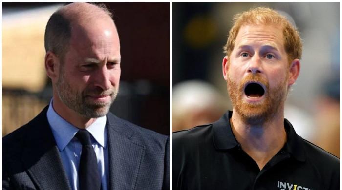 Expert exposes critical flaw in Firm that Harry didn’t cause: ‘The heir’s tacit criticism always follows’