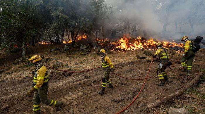 Europe wildfire: Over 300,000 flee as France, Spain battle massive blazes