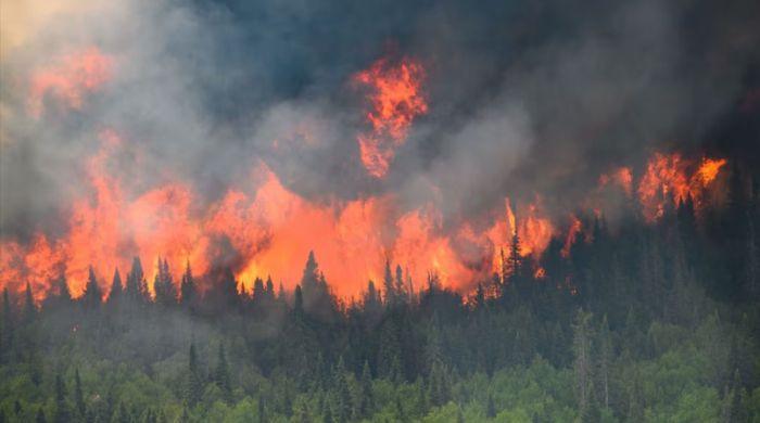 Massive wildfires threaten Bordeaux, straining firefighters across France and Spain