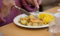 New research suggest restricted eating hours may reduce cognitive decline in older age