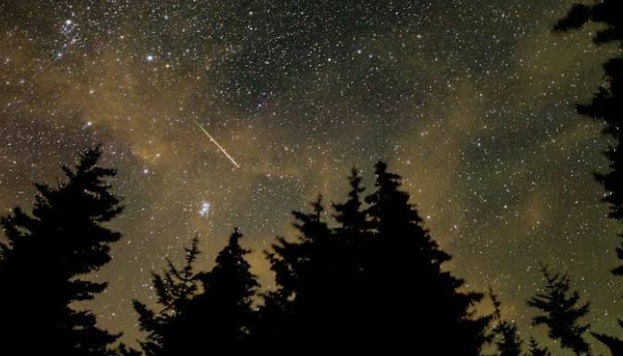 Double meteor shower peaks this week: Best viewing tips revealed