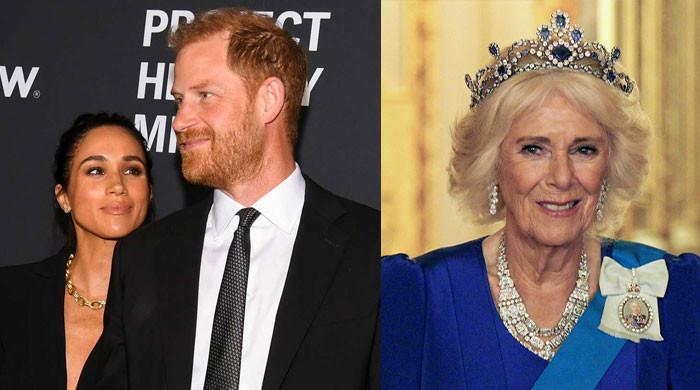 Prince Harry recalls Queen Camilla's advice to Meghan Markle about media scrutiny