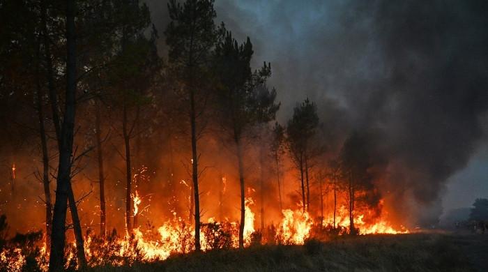 France wildfire reaches outskirts of Bordeaux as thousands evacuated amid heatwave fears