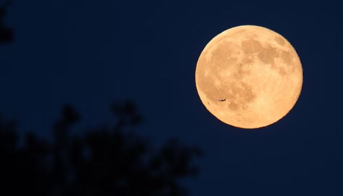 Full Moon July 2026 peaks today: When and how to watch