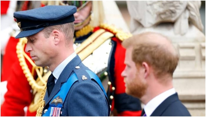 Prince William’s anger over Harry turns boiling: ‘Why cant the guy just shut up’