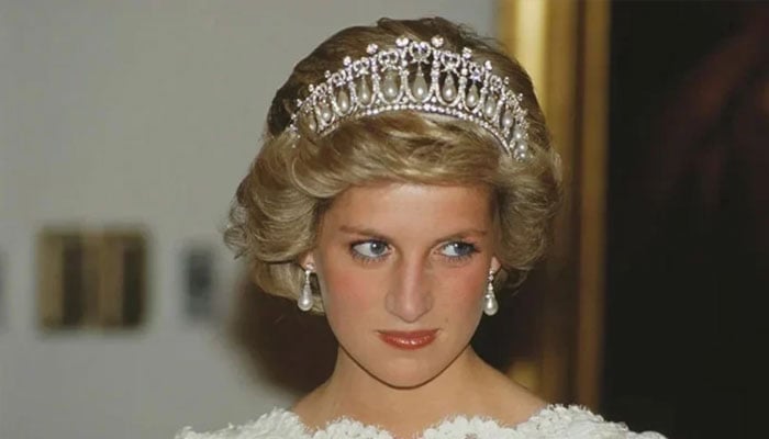 Princess Diana had ‘sense of destiny,’ dubbed most popular in the Royal family