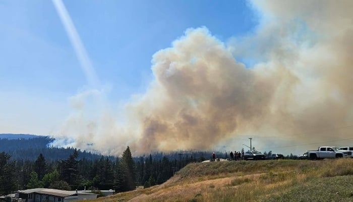 New wildfire near Logan Lake reaches 10 hectares, forces Highway 97C closure