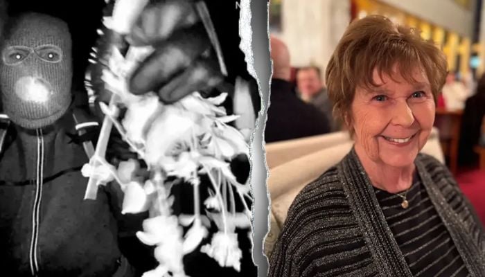 Nancy Guthrie case update: Sheriff says crime scene hair sample failed DNA analysis