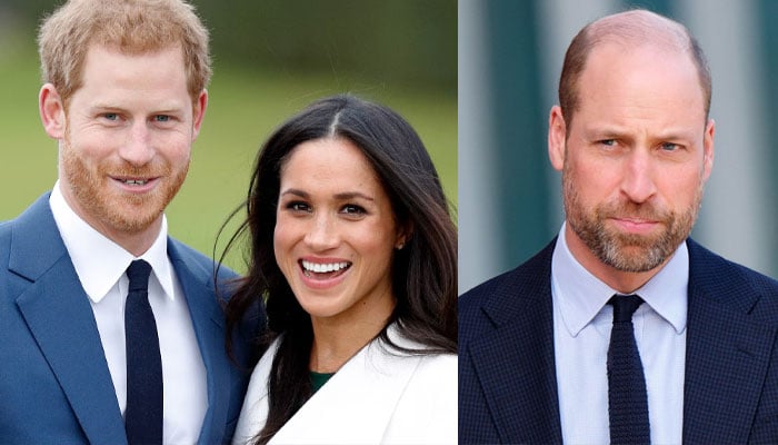 Prince Harry reveals hurtful words Prince William allegedly used for Meghan Markle