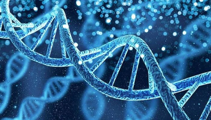 Study reveals two ghost ancestors hidden in human DNA